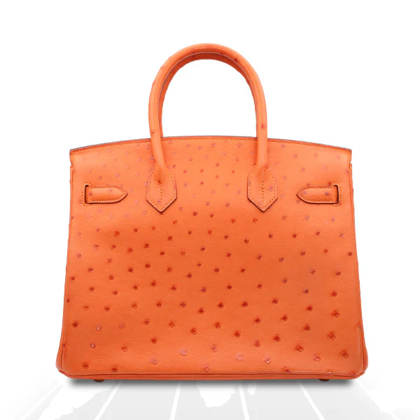 Hermes Birkin 30 Tangerine Autruche Ostrich Gold Hardware - Image 5