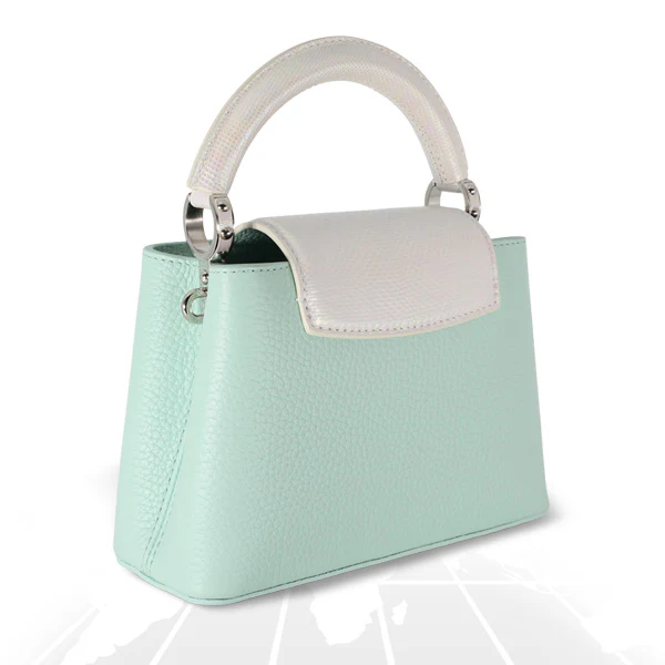 Louis Vuitton Mini Capucines Python Handle Silver Hardware - Image 4