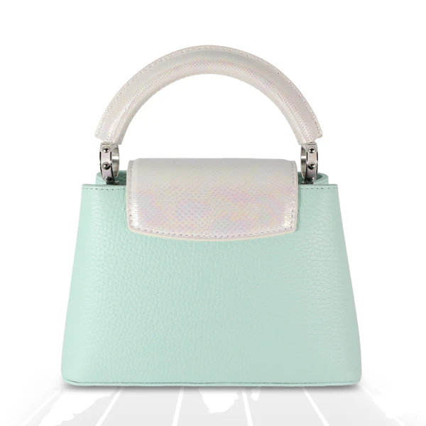 Louis Vuitton Mini Capucines Python Handle Silver Hardware - Image 5