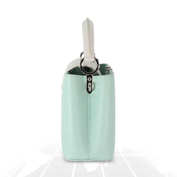 Louis Vuitton Mini Capucines Python Handle Silver Hardware - Image 6