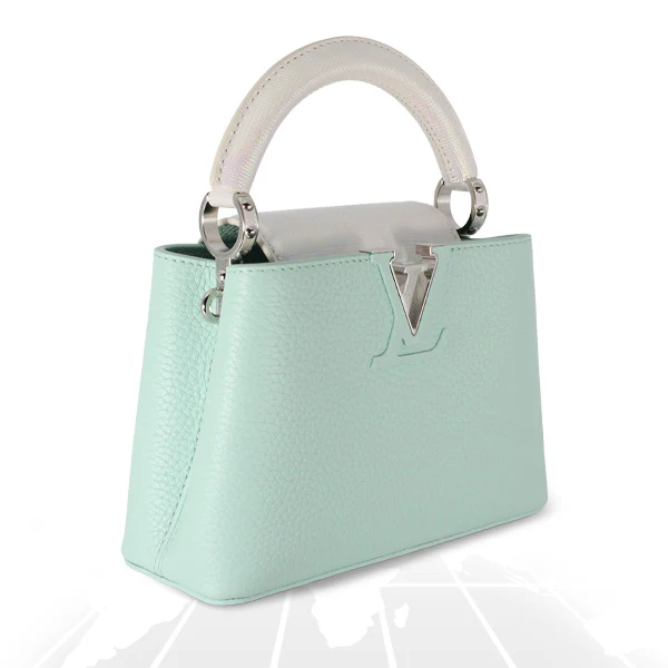 Louis Vuitton Mini Capucines Python Handle Silver Hardware - Image 7