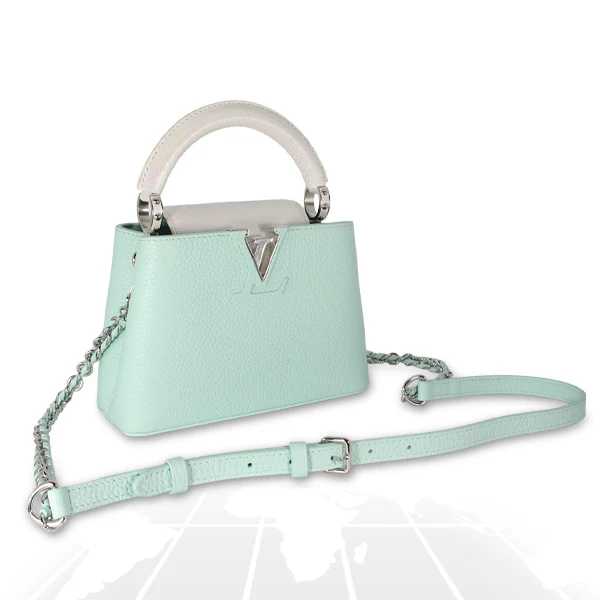 Louis Vuitton Mini Capucines Python Handle Silver Hardware - Image 9